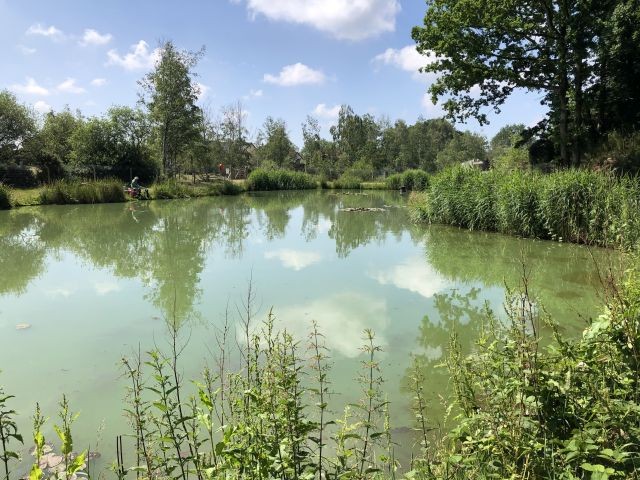 Poringland Lakes in summer